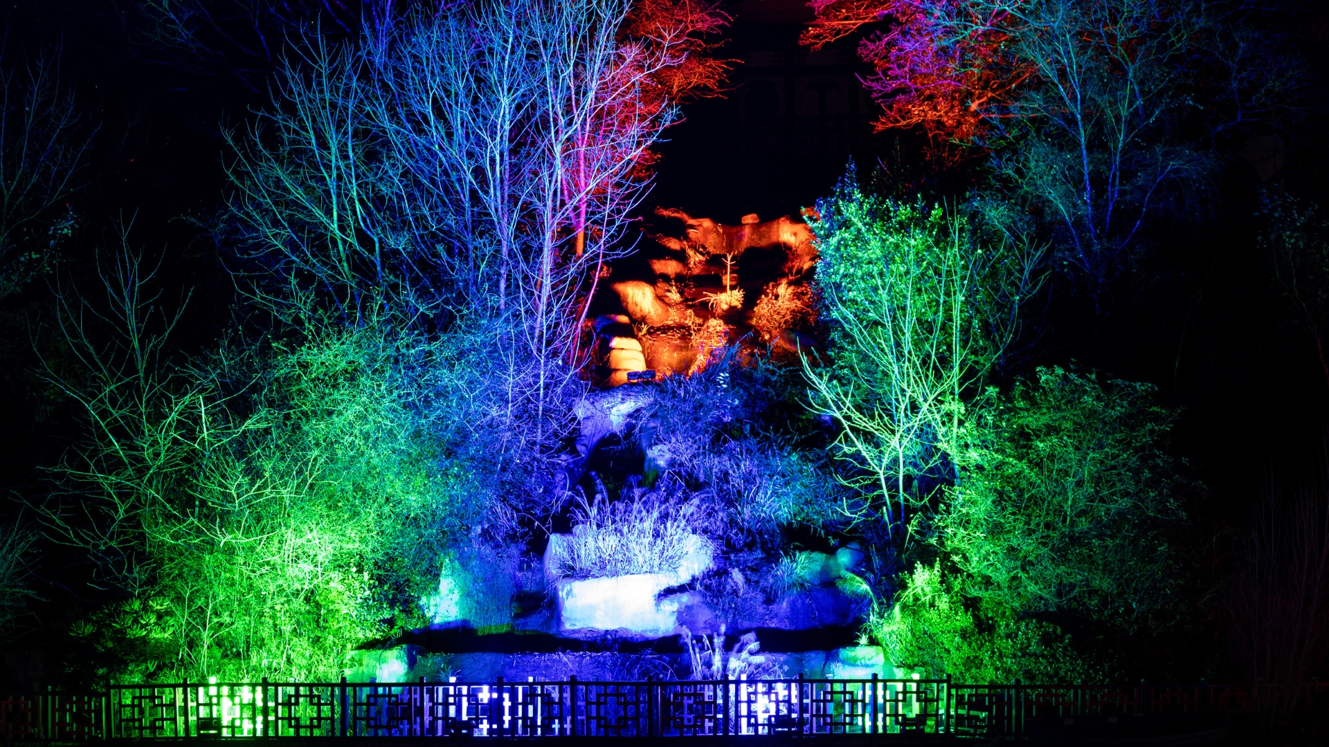 Homepage Lights banner